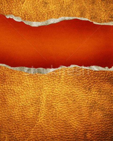 leather background Stock photo © dmitroza