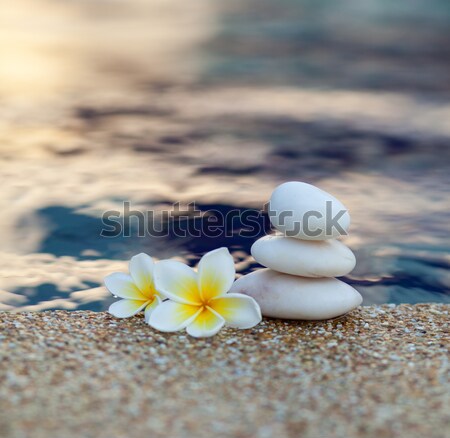 [[stock_photo]]: Fleur · pierres · blanche · eau · piscine · bleu