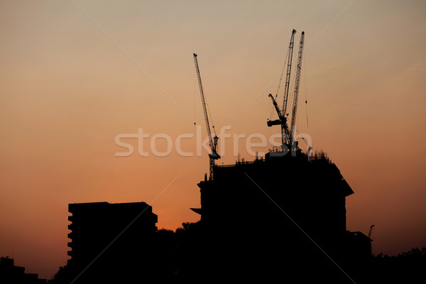 Tower cranes Stock photo © dmitroza