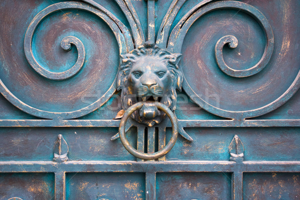 old door Stock photo © dmitroza