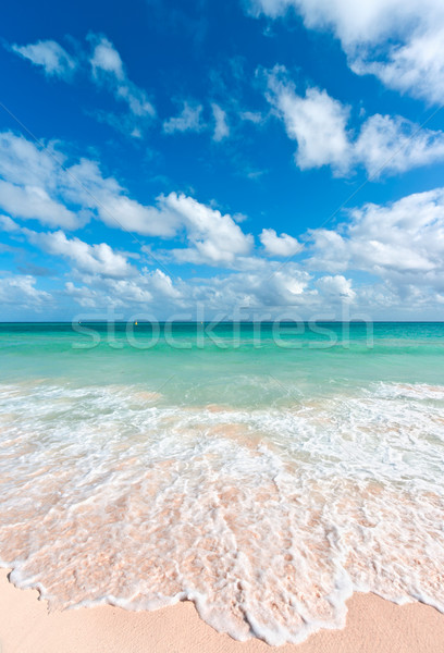 Schönen Strand Meer Wellen Sand Welle Stock foto © dmitry_rukhlenko