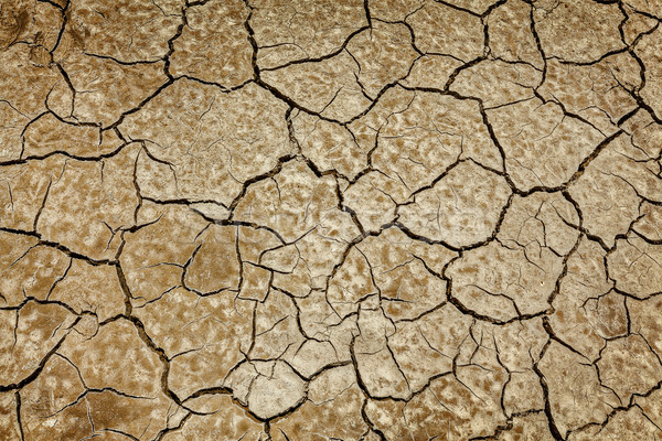 Gebarsten aarde textuur modder landschap outdoor Stockfoto © dmitry_rukhlenko