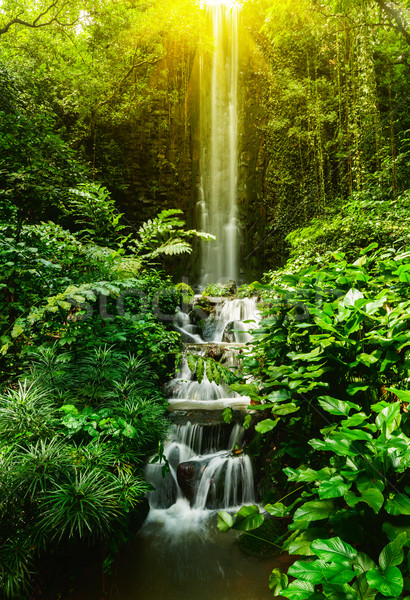 Tropicales cascade forêt [[stock_photo]] © dmitry_rukhlenko