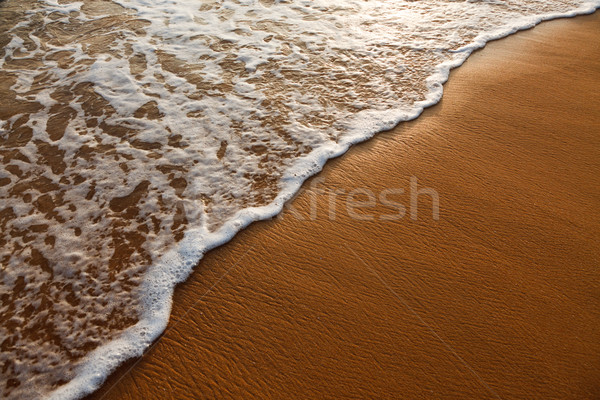 Golf zand strand water zee tropische Stockfoto © dmitry_rukhlenko