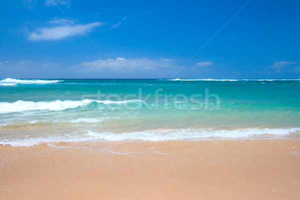 Friedlich Strand Szene Ozean blauer Himmel Meer Stock foto © dmitry_rukhlenko