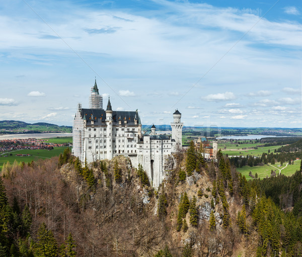 Neuschwanstein Castle, Germany Stock photo © dmitry_rukhlenko
