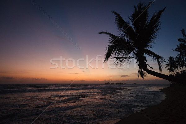 Palm oceaan zonsondergang Sri Lanka zon zee Stockfoto © dmitry_rukhlenko