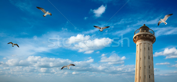 Eski deniz feneri gökyüzü martılar mavi gökyüzü uçan Stok fotoğraf © dmitry_rukhlenko