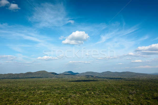 égbolt fölött kicsi hegyek fedett fák Stock fotó © dmitry_rukhlenko