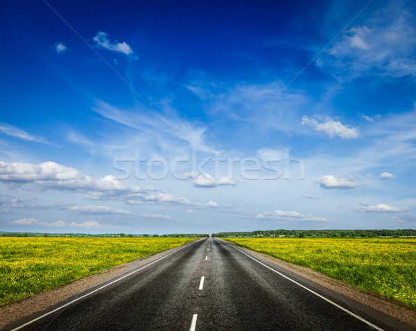 Road in blooming spring meadow Stock photo © dmitry_rukhlenko