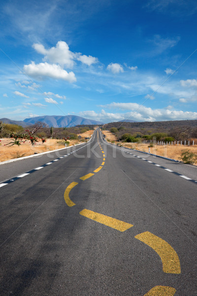 Twisting lane marking on road in desert  Stock photo © dmitry_rukhlenko