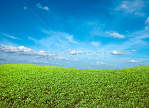 [[stock_photo]]: Domaine · vert · fraîches · herbe · ciel · bleu · ciel