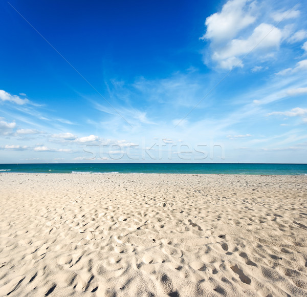 Mooie strand zee golven caribbean Blauw Stockfoto © dmitry_rukhlenko