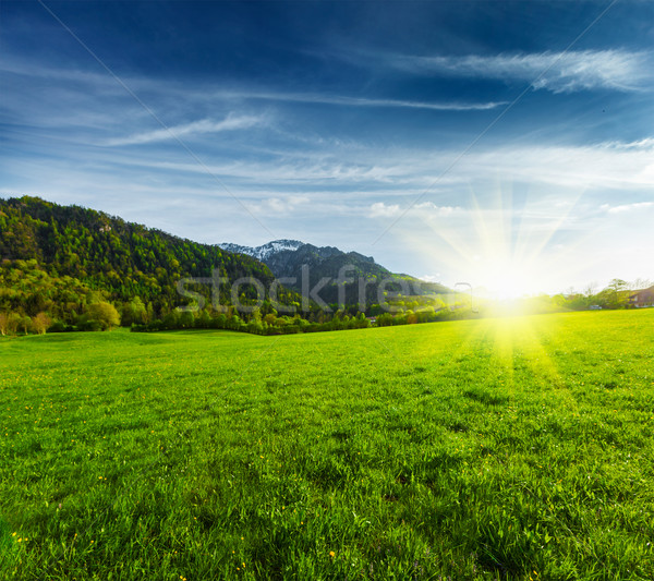 Alpin luncă Germania alpi apus munţi Imagine de stoc © dmitry_rukhlenko