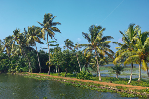 Kerala backwaters Stock photo © dmitry_rukhlenko