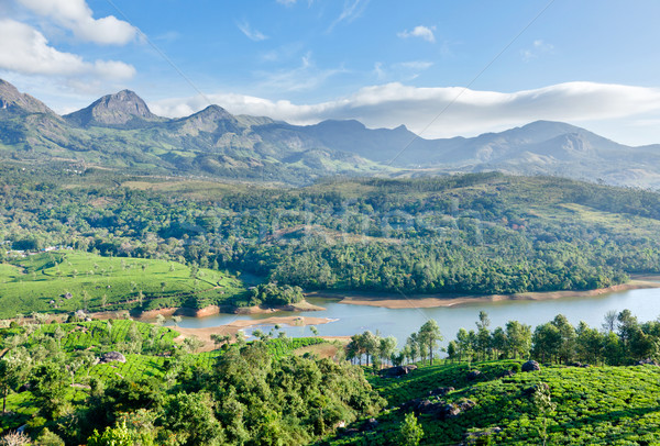 [[stock_photo]]: Thé · montagnes · autour · lac · ciel · feuille