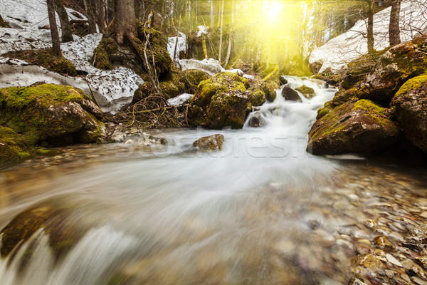 Kaskade Deutschland Wald Wasserfall Berge Stein Stock foto © dmitry_rukhlenko