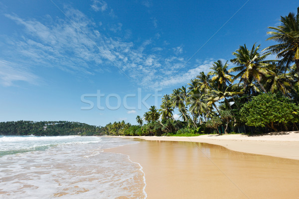 Idyllique plage Sri Lanka tropicales paradis arbre [[stock_photo]] © dmitry_rukhlenko