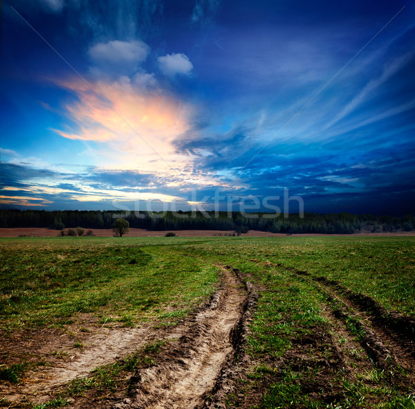 Paisaje camino de tierra puesta de sol país horizonte Foto stock © dmitry_rukhlenko