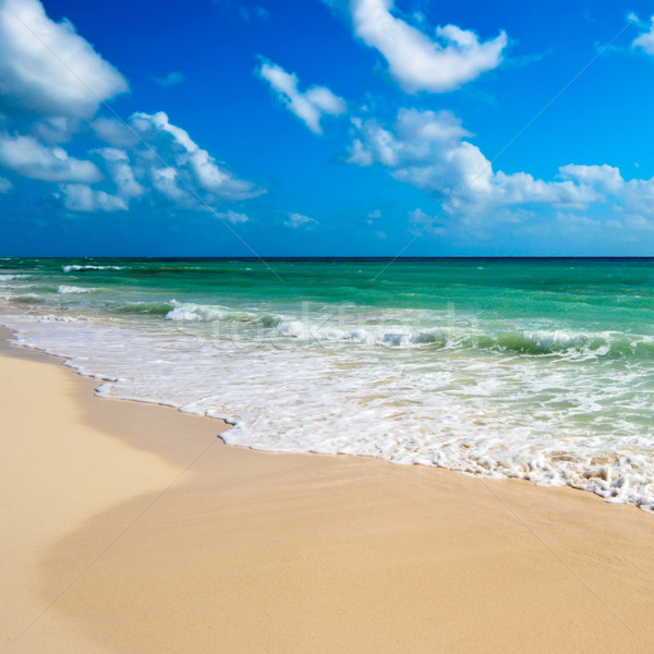 美麗 海灘 海 波浪 夏天 沙 商業照片 © dmitry_rukhlenko