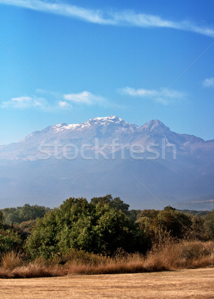 Vulcão México blue sky árvore montanha nuvem Foto stock © dmitry_rukhlenko