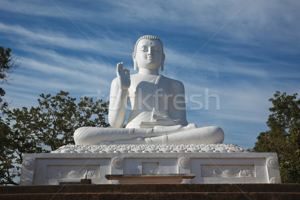 Sitting Budha image Stock photo © dmitry_rukhlenko