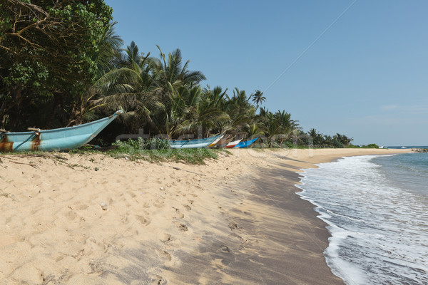 Idilliaco spiaggia Sri Lanka tropicali paradiso albero Foto d'archivio © dmitry_rukhlenko