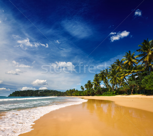 Idilliaco spiaggia Sri Lanka tropicali vacanze vacanze Foto d'archivio © dmitry_rukhlenko