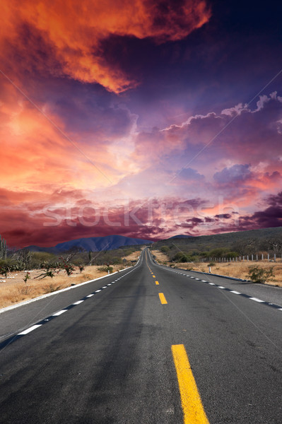 Road in desert  Stock photo © dmitry_rukhlenko
