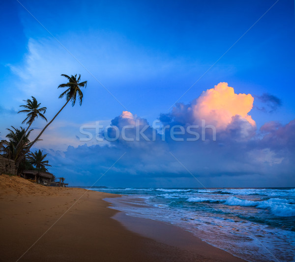 Zonsondergang tropisch strand Sri Lanka zee zonsopgang golf Stockfoto © dmitry_rukhlenko