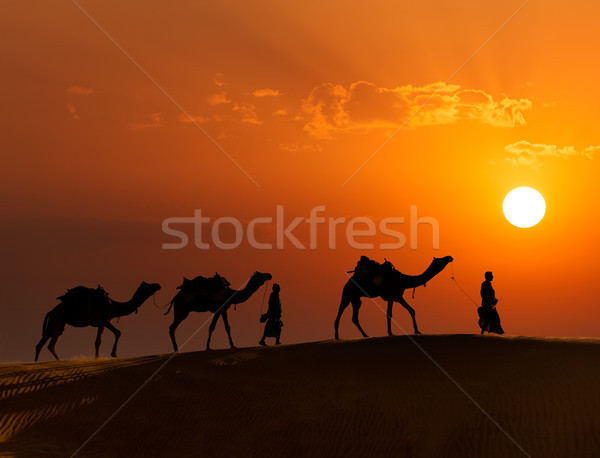 Stockfoto: Twee · kameel · kamelen · reizen · indian · silhouetten
