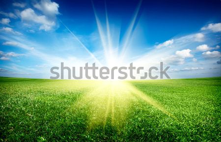 Sunset sun and field of green fresh grass under blue sky Stock photo © dmitry_rukhlenko