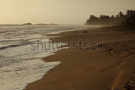 óceán naplemente trópusi Sri Lanka víz tenger Stock fotó © dmitry_rukhlenko