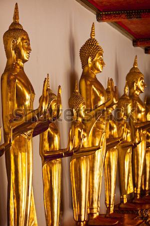 Standing Buddha statues, Thailand Stock photo © dmitry_rukhlenko