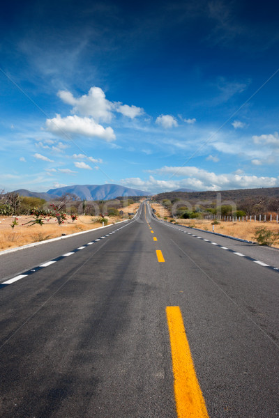 Foto stock: Carretera · desierto · México · montana · solitario · horizonte