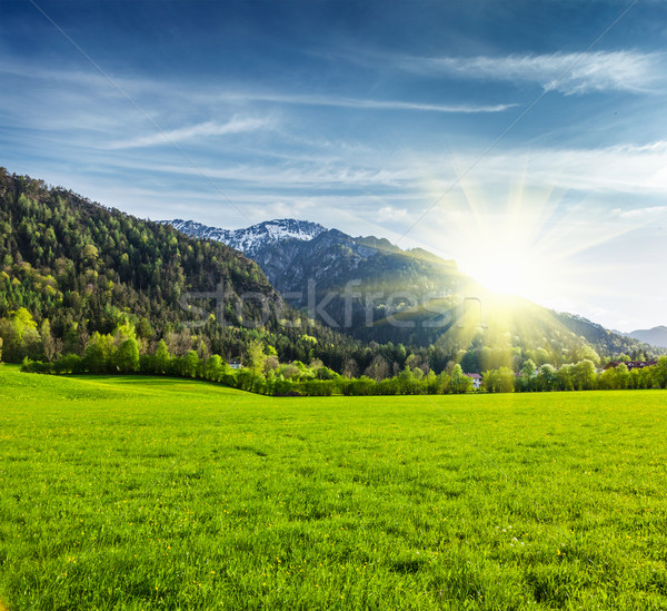 Alpine meadow in Bavaria,  Germany Stock photo © dmitry_rukhlenko