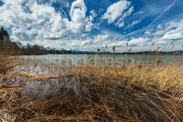 Alpok vidék tájkép tó víz hegy Stock fotó © dmitry_rukhlenko
