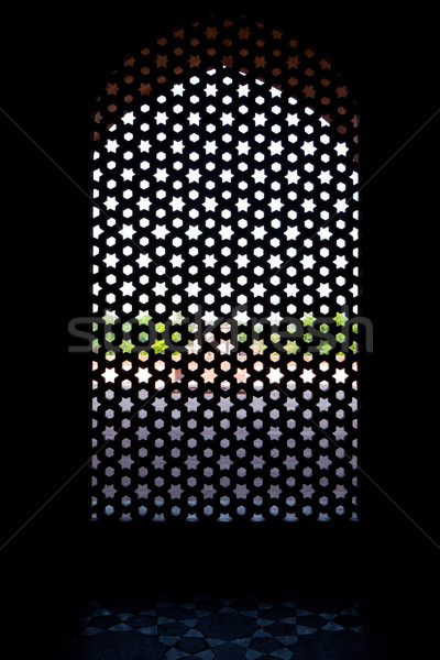 Marmer scherm venster graf Delhi Indië Stockfoto © dmitry_rukhlenko