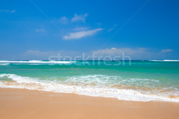 Beautiful beach in summer Stock photo © dmitry_rukhlenko