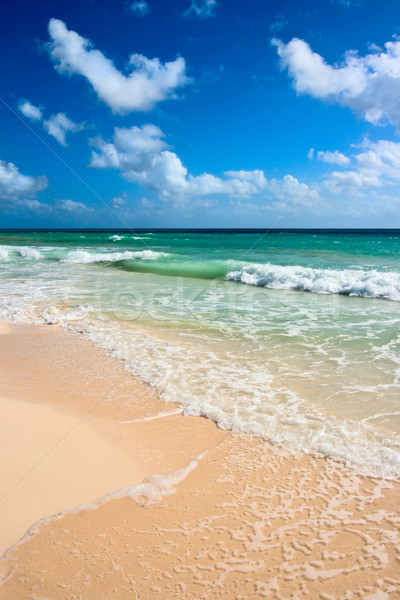 Mooie strand zee golven zomer zand Stockfoto © dmitry_rukhlenko