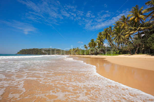 Idyllisch strand Sri Lanka tropische paradijs boom Stockfoto © dmitry_rukhlenko