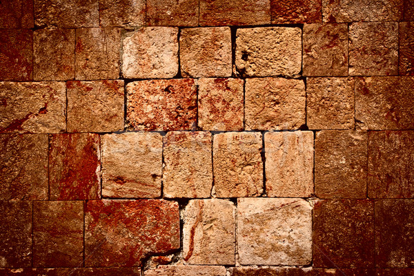 Stone wall of Mayan ruins Stock photo © dmitry_rukhlenko