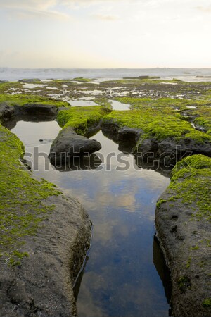 Pé oco oceano costa noite Foto stock © dmitry_rukhlenko