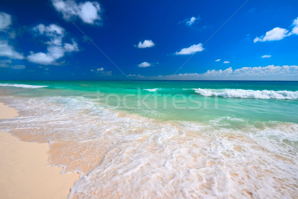 Mooie strand zee golven zand golf Stockfoto © dmitry_rukhlenko
