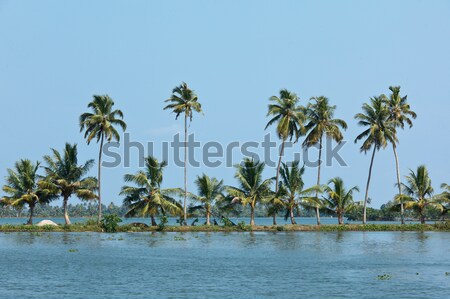 Kerala backwaters Stock photo © dmitry_rukhlenko