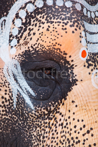 Close up photo of  sacred elephant eye in Hindu temple Stock photo © dmitry_rukhlenko
