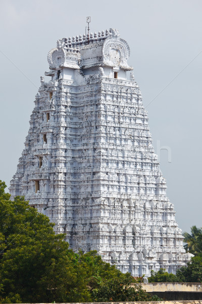 Gopura of Hindu temple Stock photo © dmitry_rukhlenko