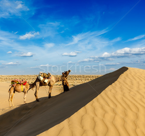 Cameleer (camel driver) with camels in dunes of Thar desert. Raj Stock photo © dmitry_rukhlenko
