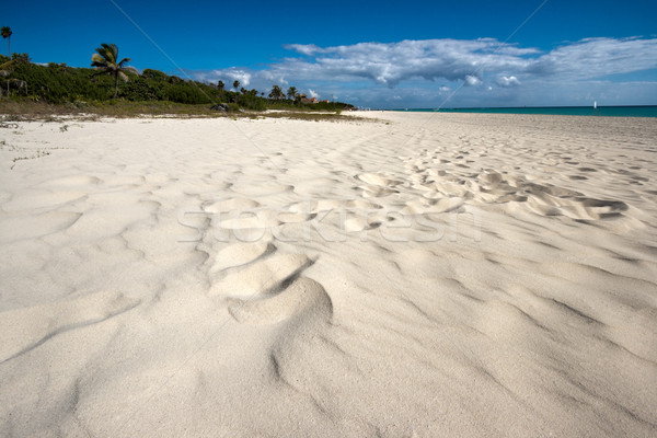 Strand caribbean zee strandzand hemel natuur Stockfoto © dmitry_rukhlenko
