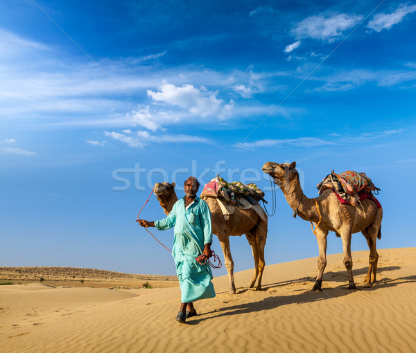 Cameleer (camel driver) with camels in dunes of Thar desert. Raj Stock photo © dmitry_rukhlenko